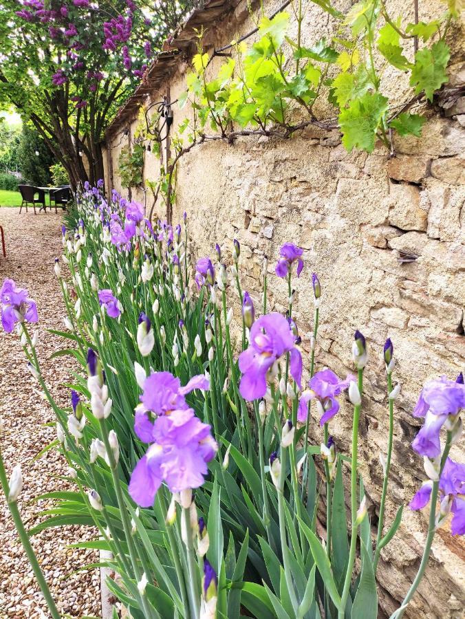 Le 14 Faubourg Bed and Breakfast Beaune  Eksteriør billede